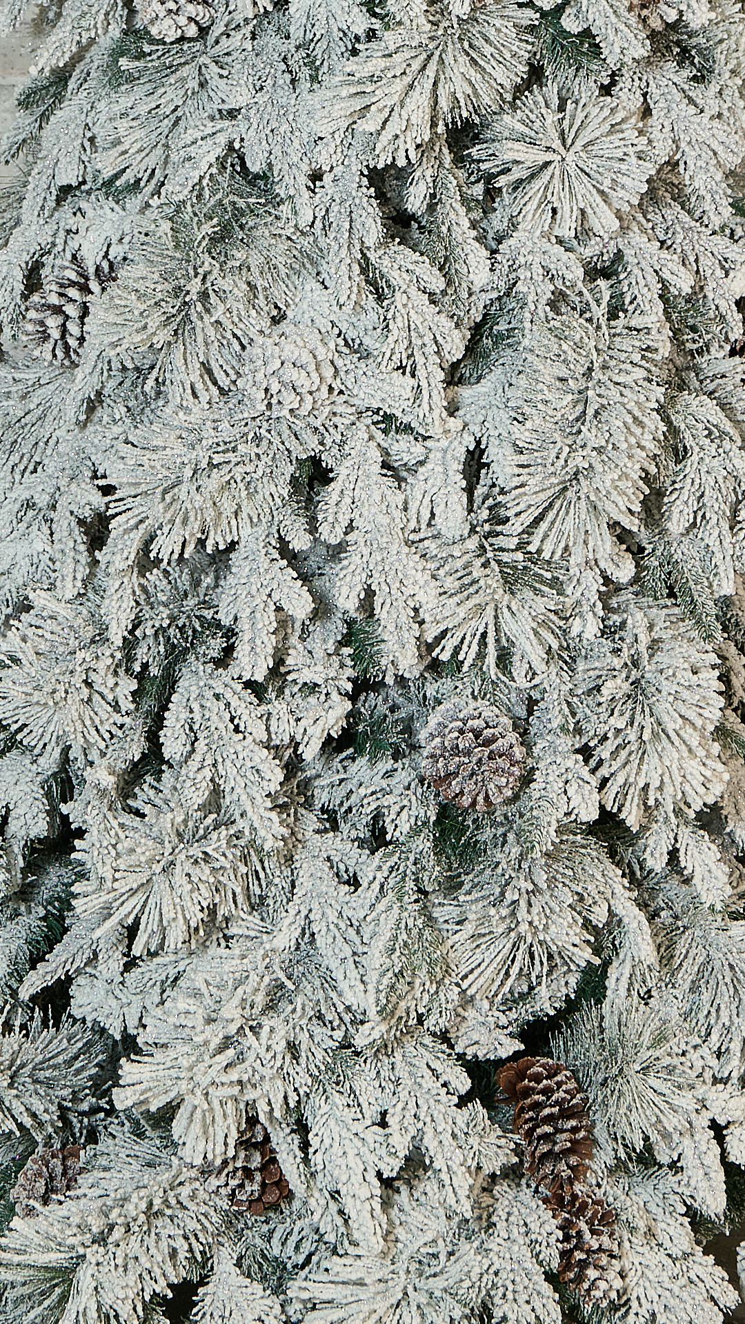 Árbol Nevado Piñas Escarcha