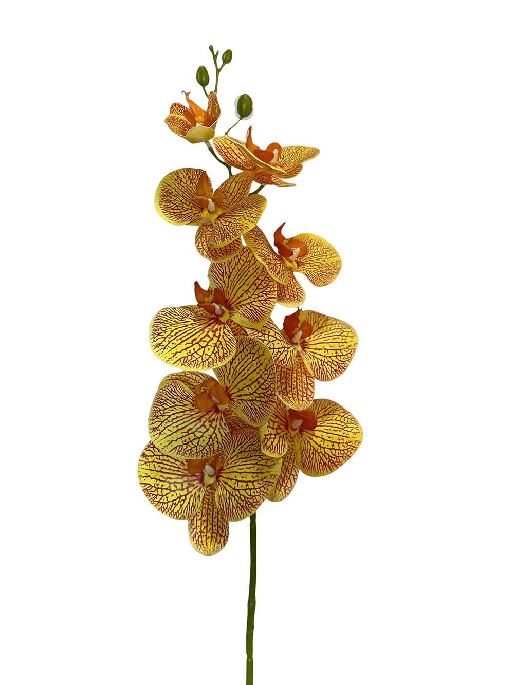 Orquidea amarilla/naranja